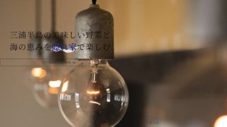 Loriga 三浦半島食蔵