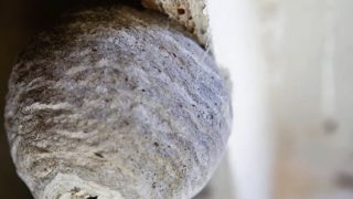 国本白蟻工務店