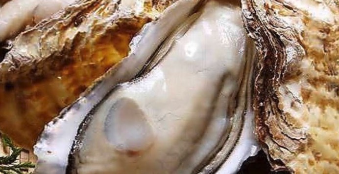 炉端・郷土料理 魚いち 分店