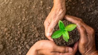 大協肥糧株式会社