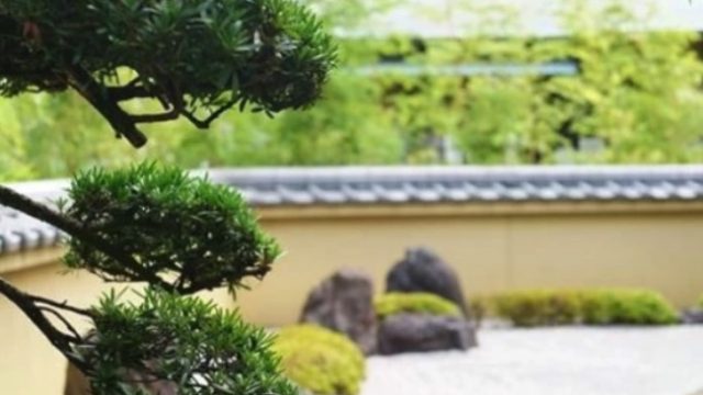 株式会社大住緑栄 熊本の伐採業者 剪定 造園