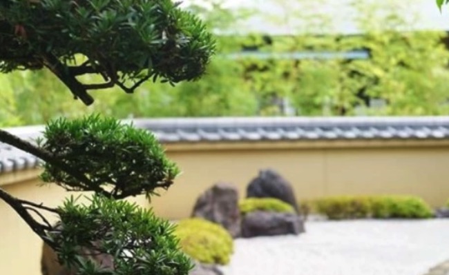 株式会社大住緑栄 熊本の伐採業者 剪定 造園