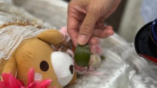 愛ペットエンジェルリング神戸