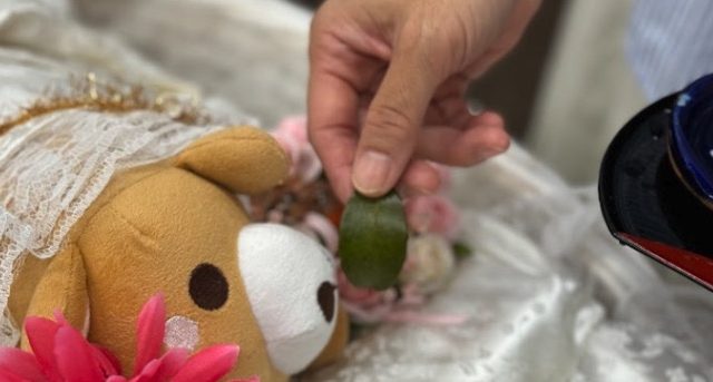 愛ペットエンジェルリング神戸