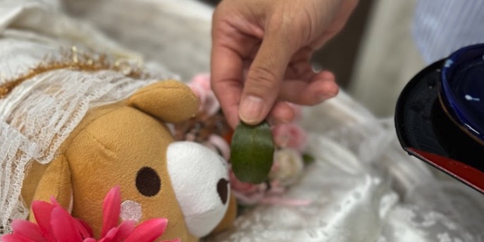 愛ペットエンジェルリング神戸