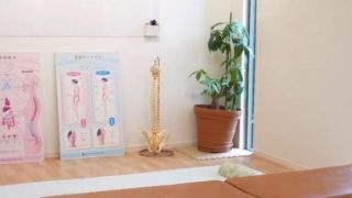 Chiro clinic FUN